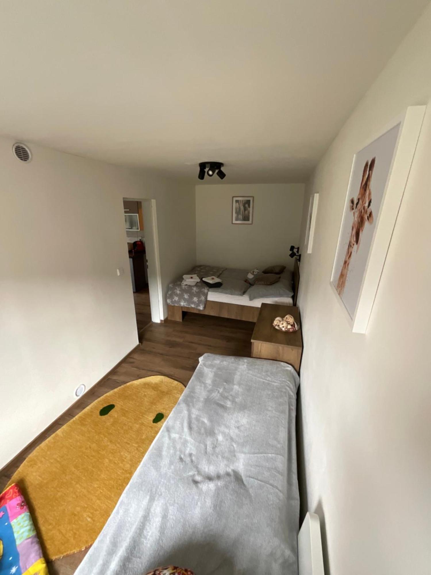 Apartment Owl Kořenov 외부 사진
